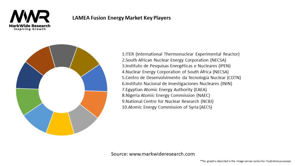 LAMEA Fusion Energy Market Key Players