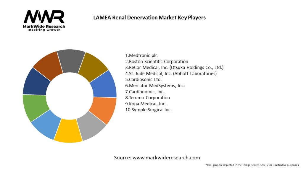 LAMEA Renal Denervation Market