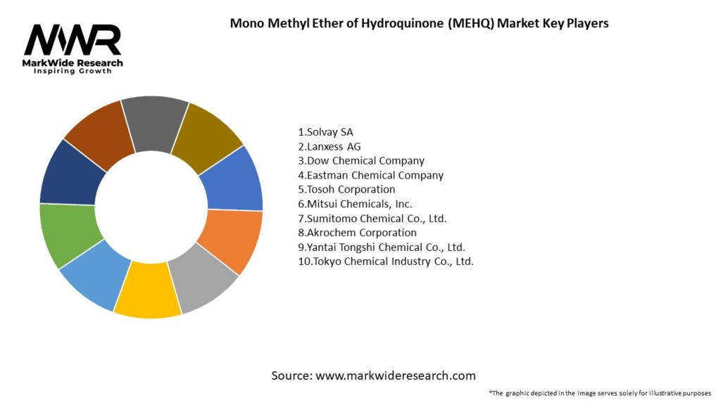 Mono Methyl Ether of Hydroquinone (MEHQ) Market Key Players
