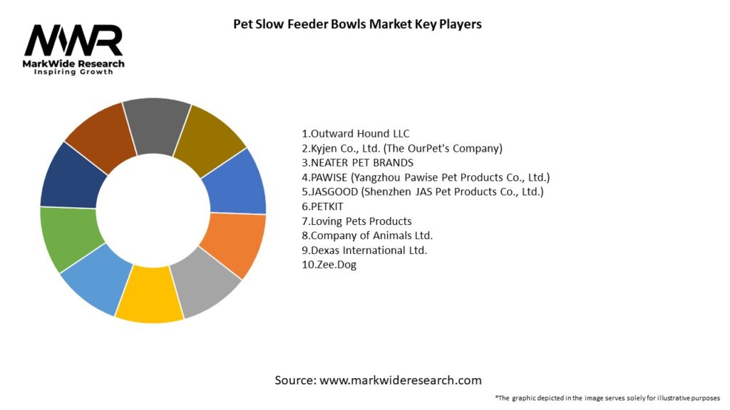 Pet Slow Feeder Bowls Market Key Players