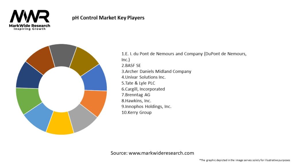 pH Control Market Key Players