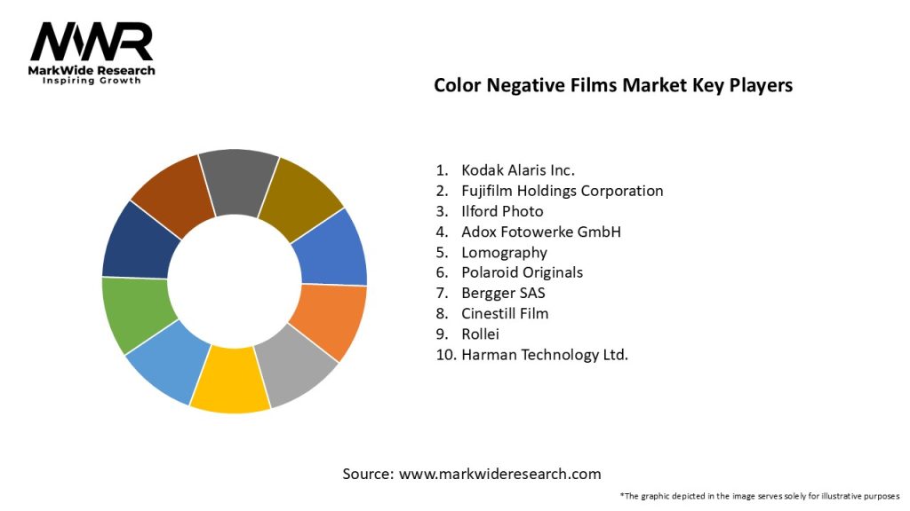 Color Negative Films Market Key Players