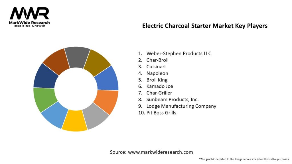 Electric Charcoal Starter Market
