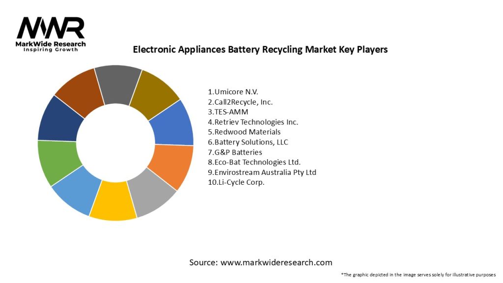 Electronic Appliances Battery Recycling Market Key Players