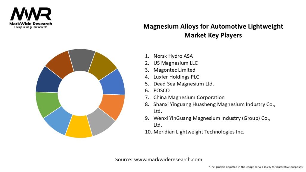 Magnesium Alloys for Automotive Lightweight Market Key Players