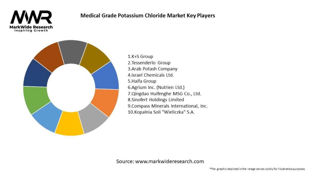 Medical Grade Potassium Chloride Market Key Players