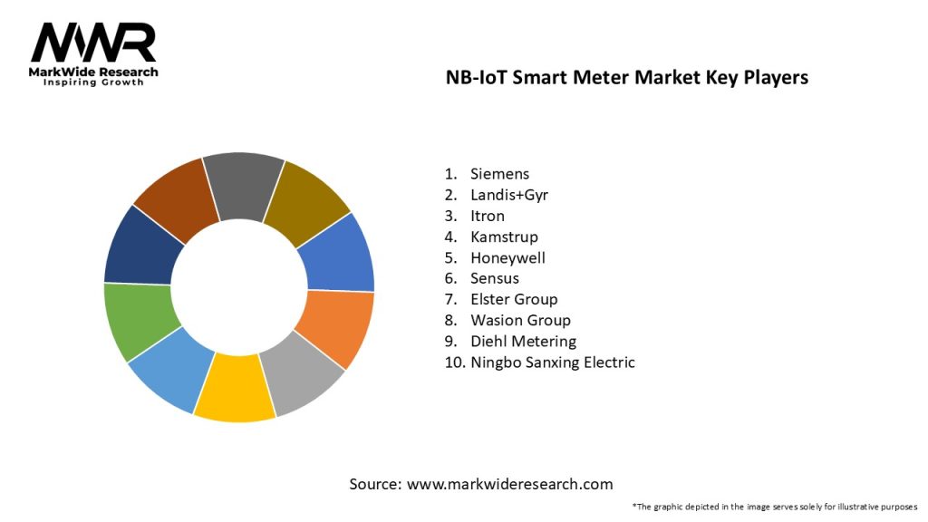 NB-IoT Smart Meter Market Key Players