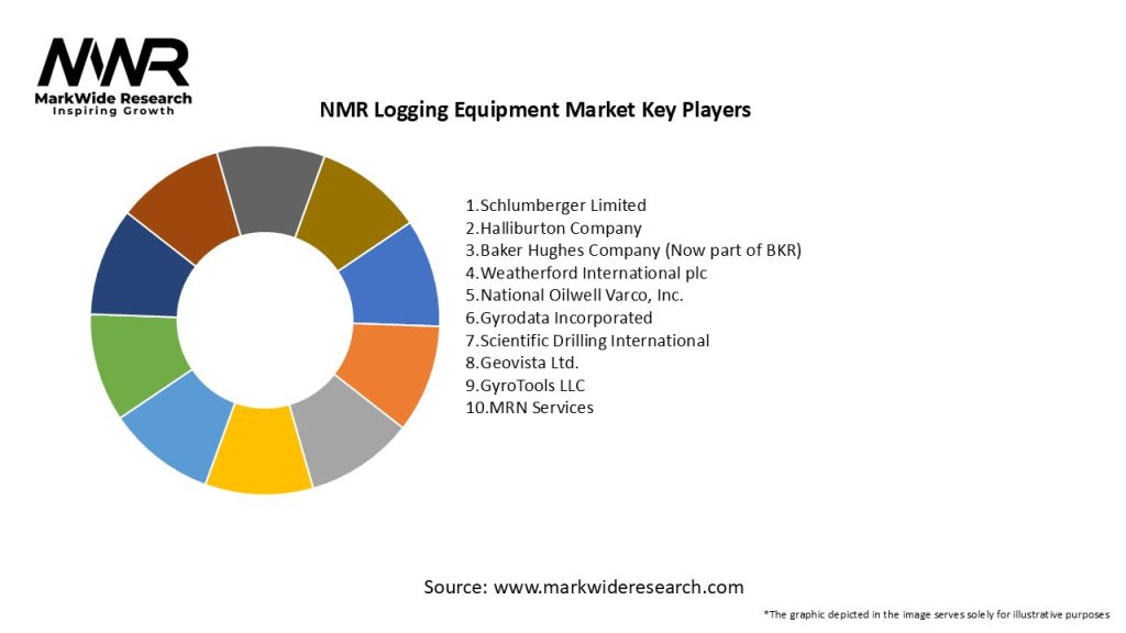 NMR Logging Equipment Market Key Players