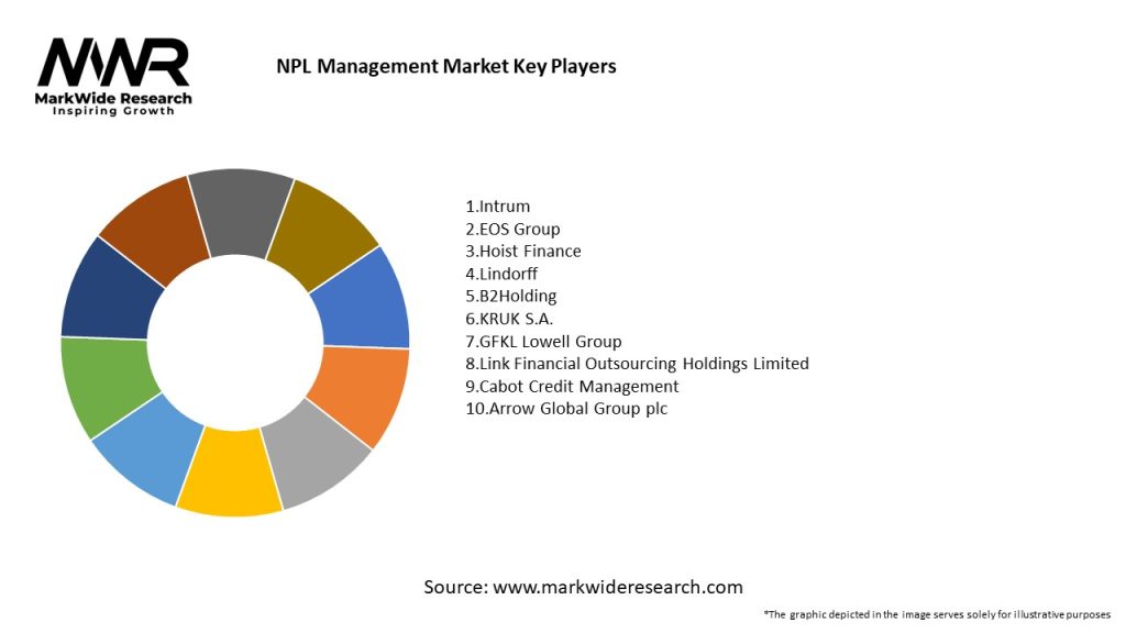 NPL Management Market Key Players