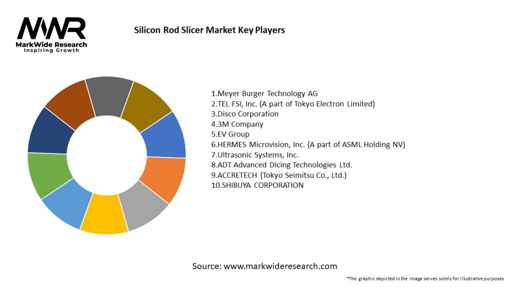 Silicon Rod Slicer Market Key Players