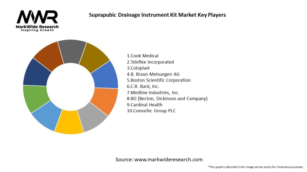 Suprapubic Drainage Instrument Kit Market
