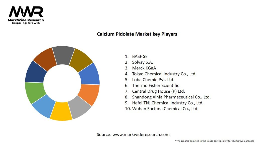 Calcium Pidolate Market