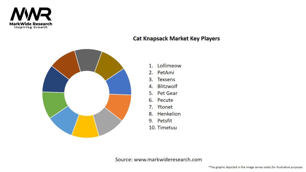 Cat Knapsack Market Key Players