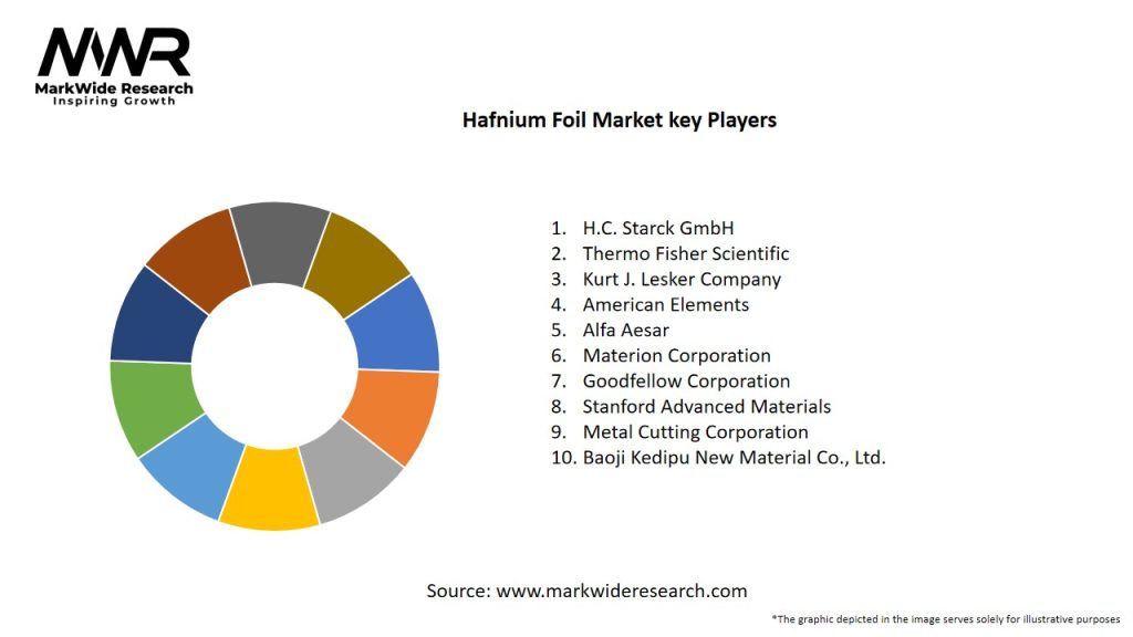 Hafnium Foil Market
