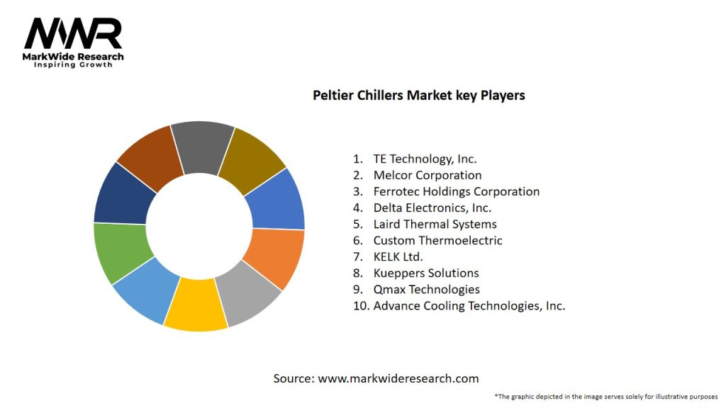 Peltier Chillers Market Key Players
