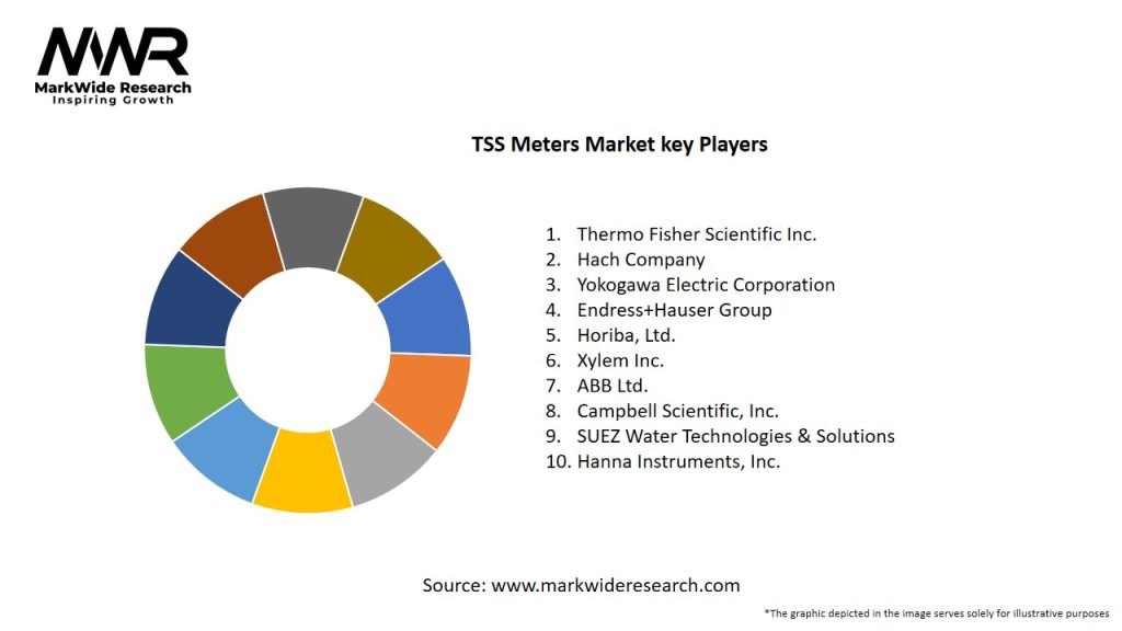 TSS Meters Market Key Players