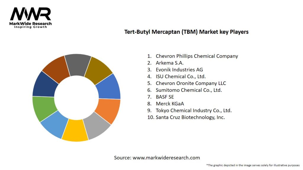 Tert-Butyl Mercaptan (TBM) Market Key Players