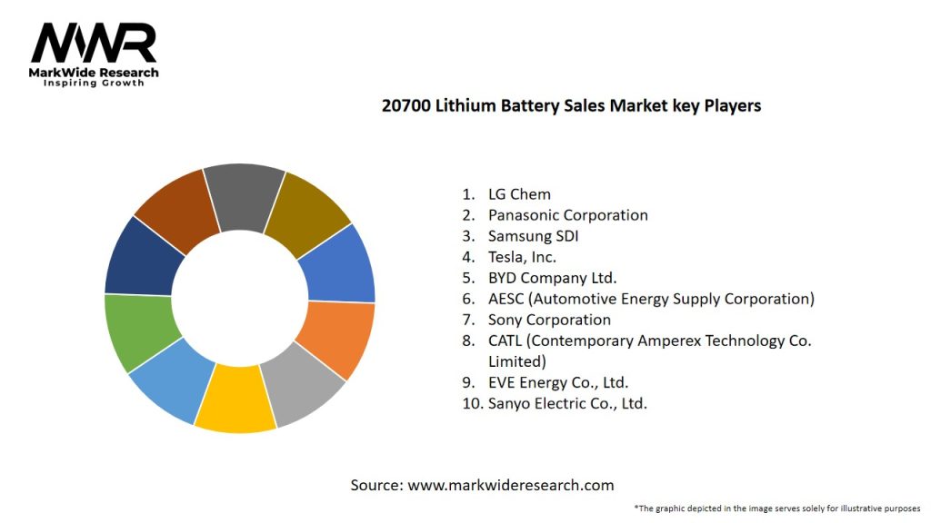 20700 Lithium Battery Sales Market Key Players