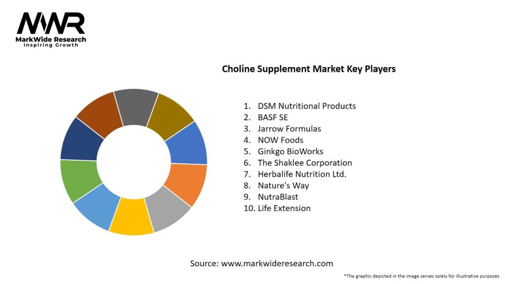 Choline Supplement Market