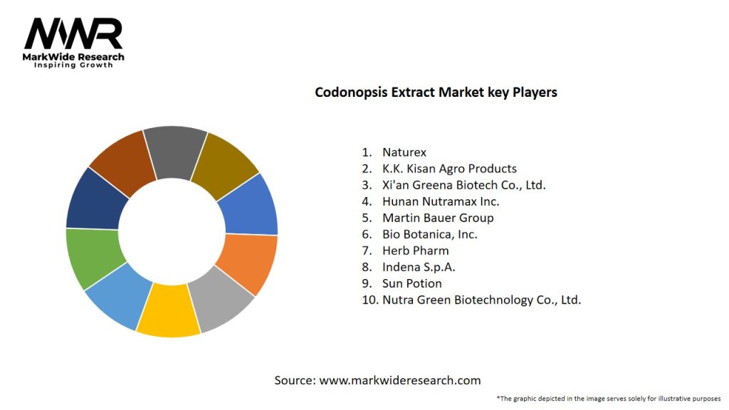 Codonopsis Extract Market Key Players