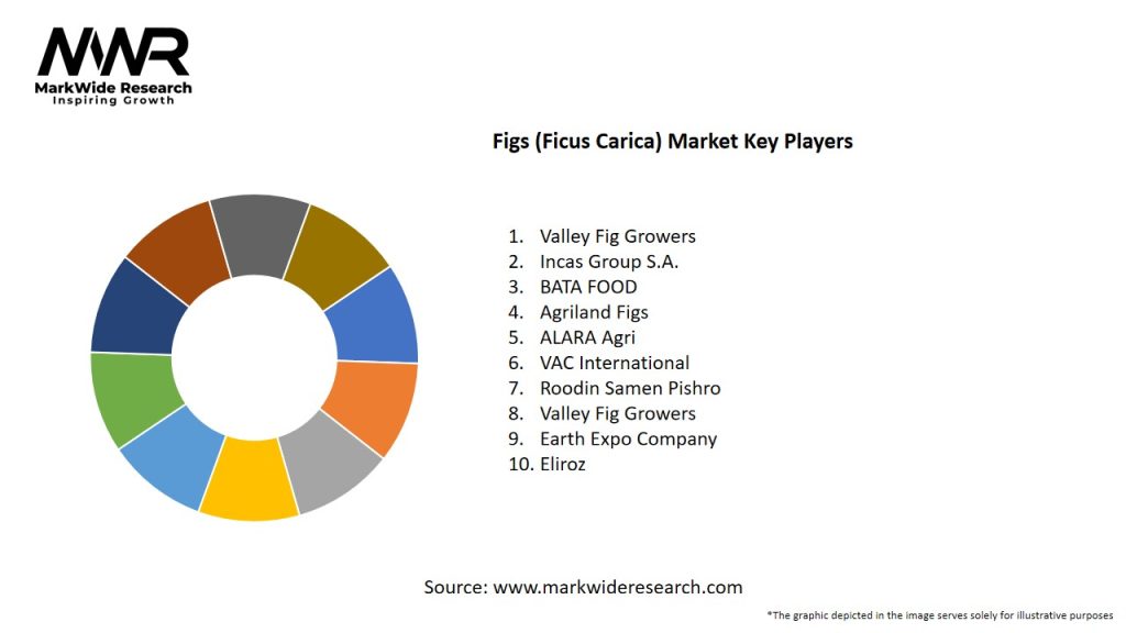 Figs (Ficus Carica) Market Key Players