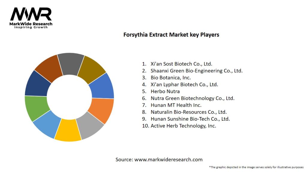 Forsythia Extract Market Key Players