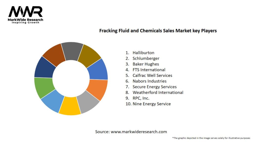 Fracking Fluid and Chemicals Sales Market Key Players