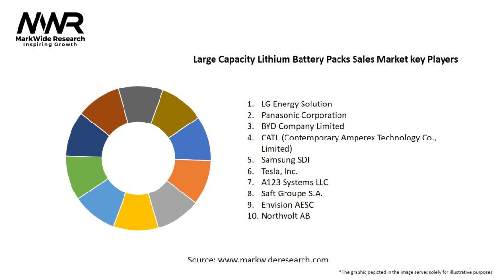 Large Capacity Lithium Battery Packs Sales Market