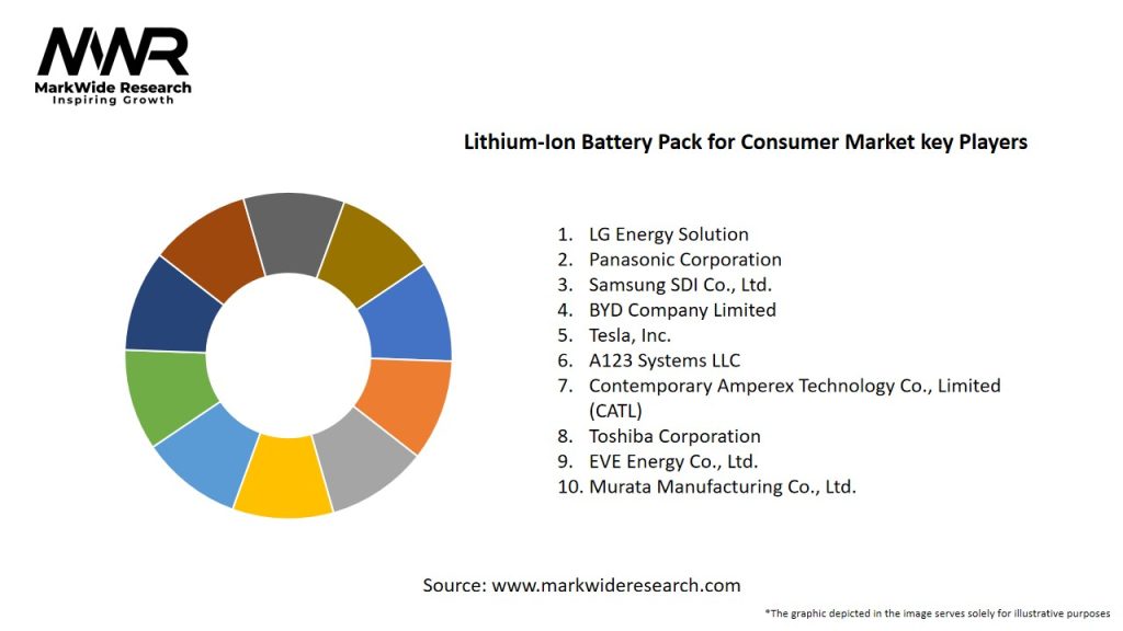 Lithium-Ion Battery Pack for Consumer Market