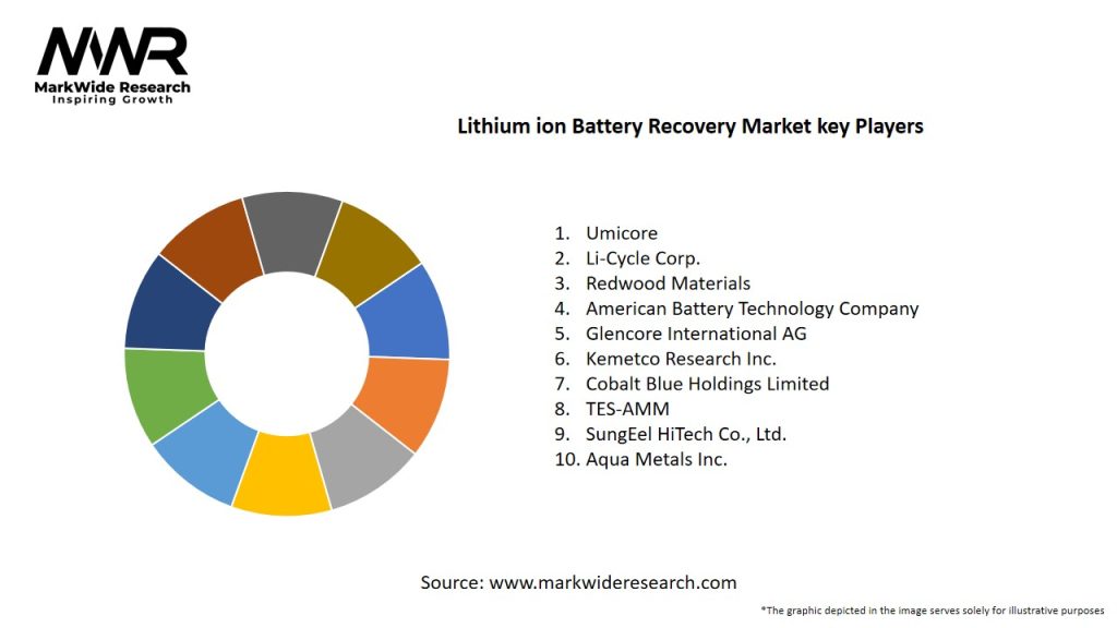 Lithium ion Battery Recovery Market Key Players