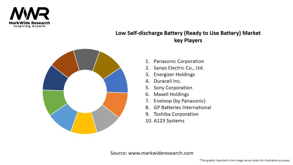 Low Self-discharge Battery (Ready to Use Battery) Market Key Players