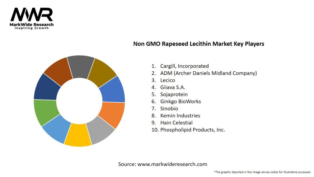 Non GMO Rapeseed Lecithin Market
