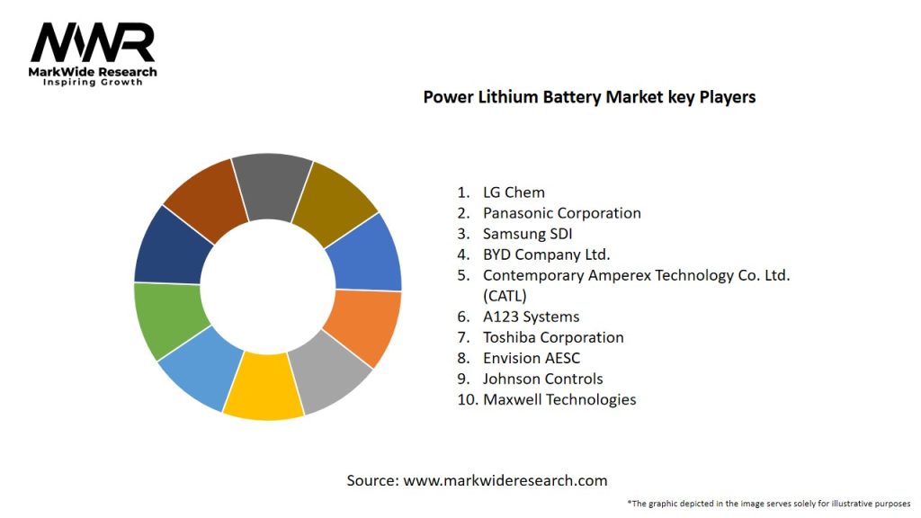 Power Lithium Battery Market Key Players