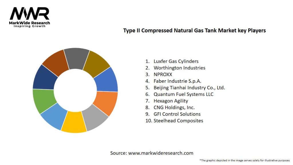 Type II Compressed Natural Gas Tank Market