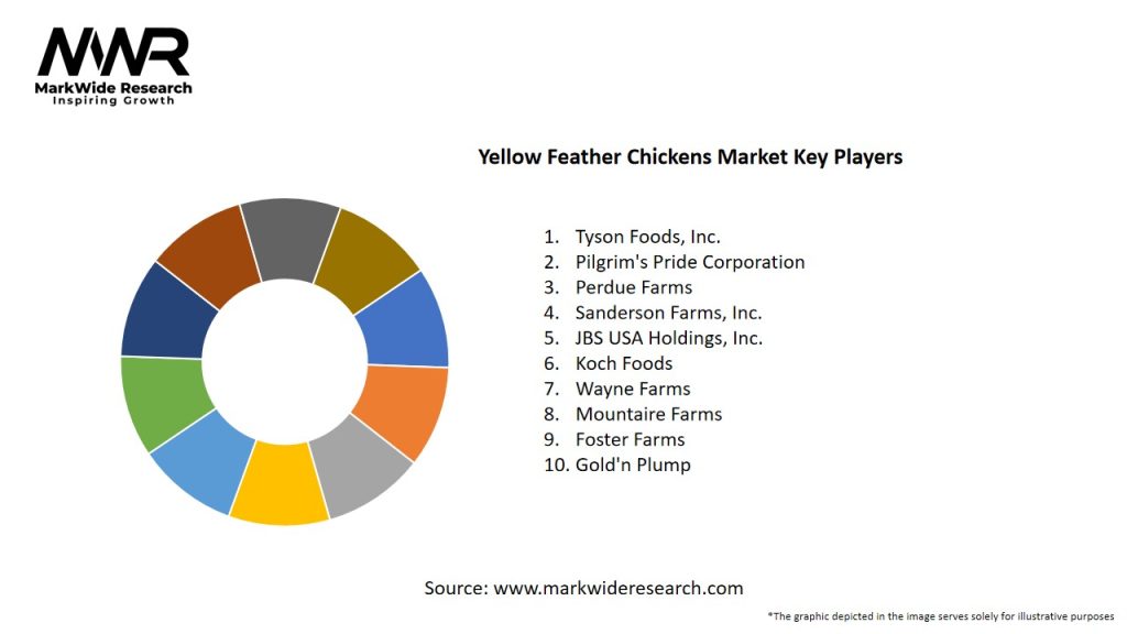 Yellow Feather Chickens Market Key Players