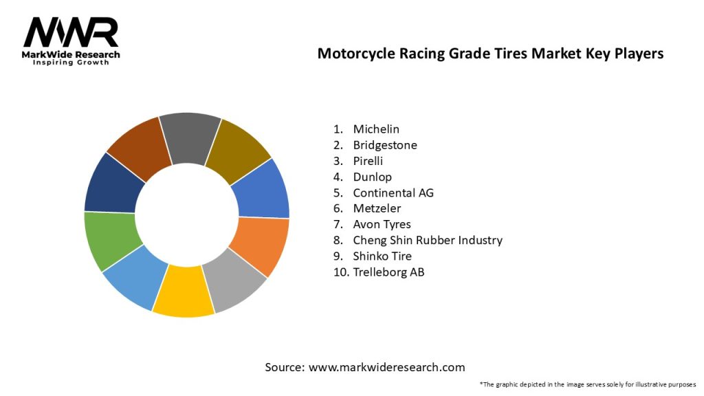 Motorcycle Racing Grade Tires Market Key Players