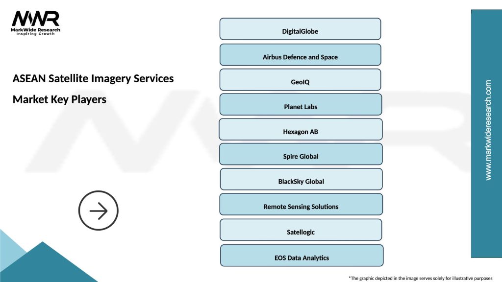 ASEAN Satellite Imagery Services Market Key Players