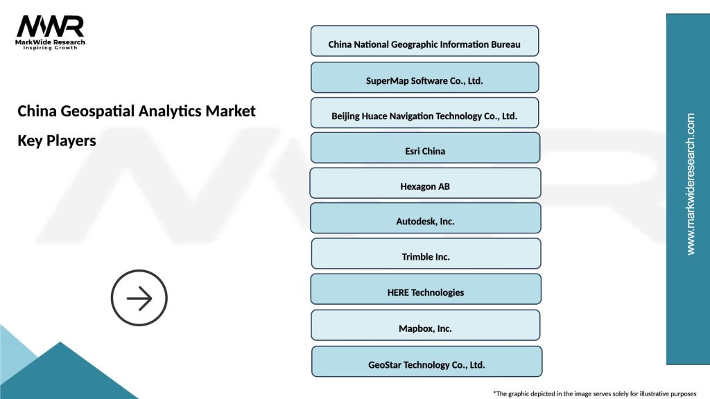 China Geospatial Analytics Market Key Players