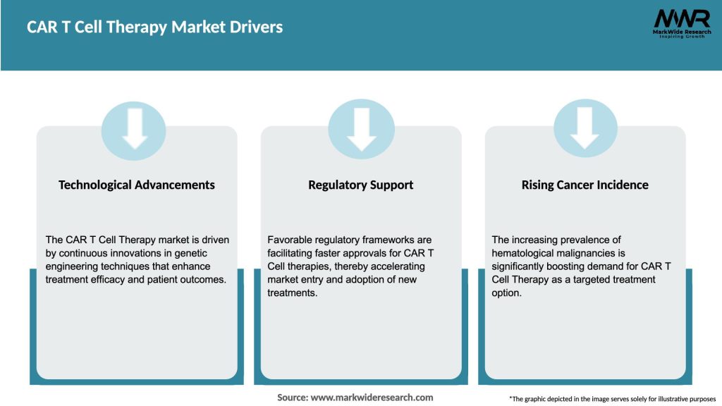CAR T Cell Therapy Market Drivers