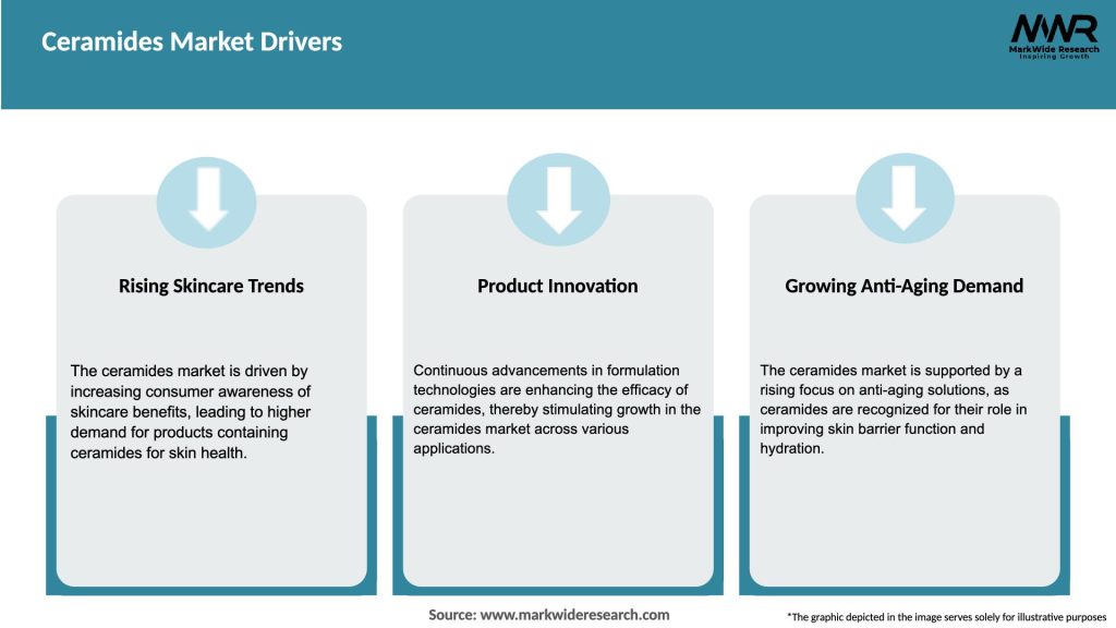 Ceramides Market Drivers