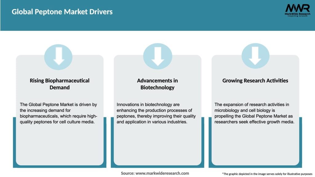 Global Peptone Market Drivers