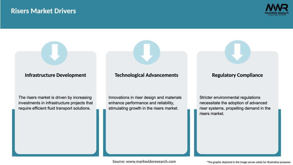 Risers Market Drivers