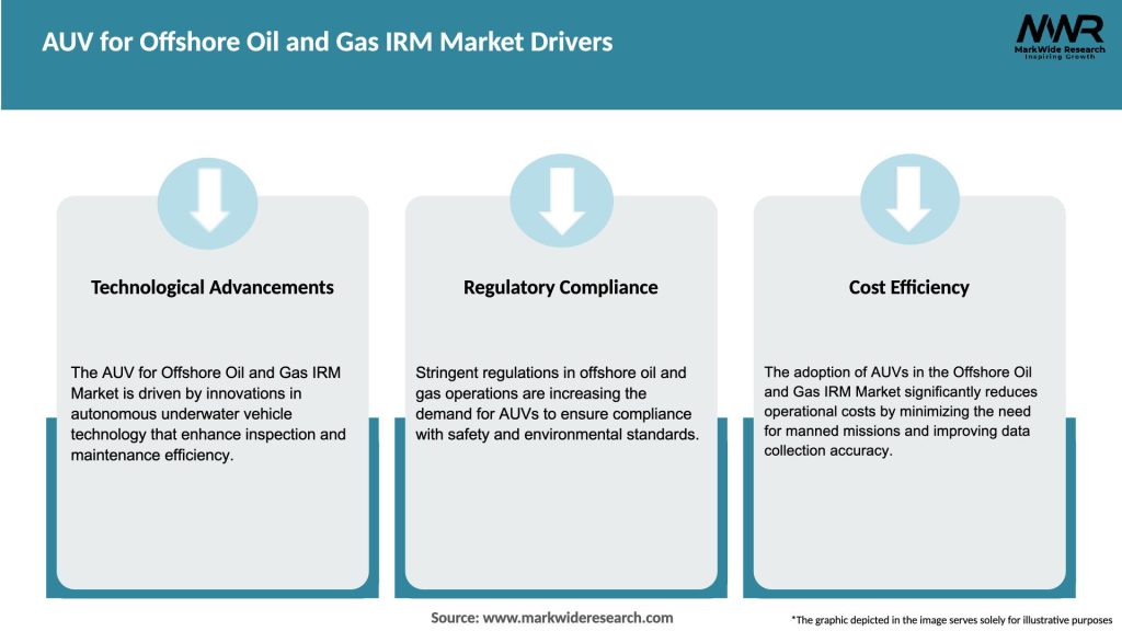 AUV for Offshore Oil and Gas IRM Market Drivers