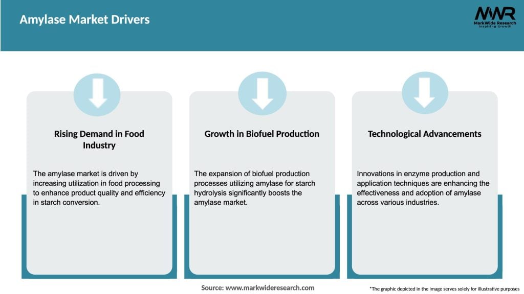 Amylase Market Drivers