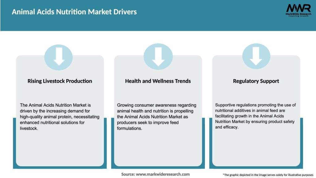Animal Acids Nutrition Market Drivers