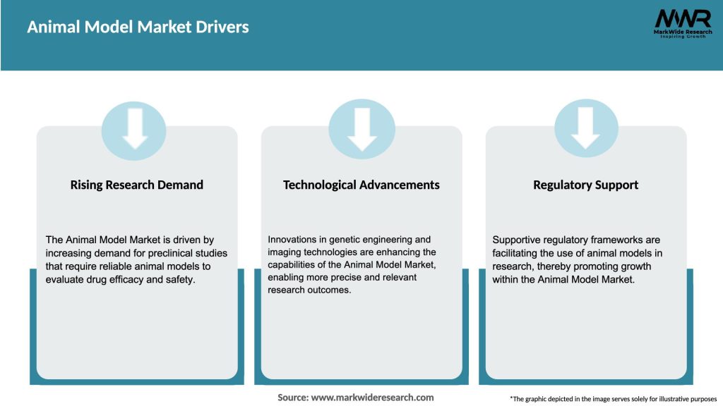 Animal Model Market Drivers