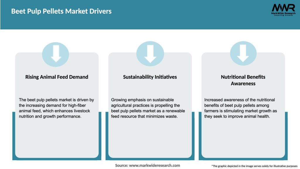 Beet Pulp Pellets Market Drivers