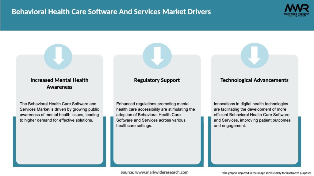 Behavioral Health Care Software And Services Market Drivers