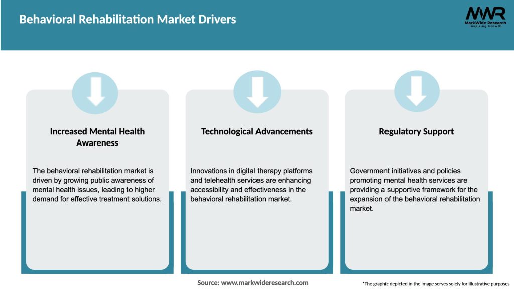 Behavioral Rehabilitation Market Drivers