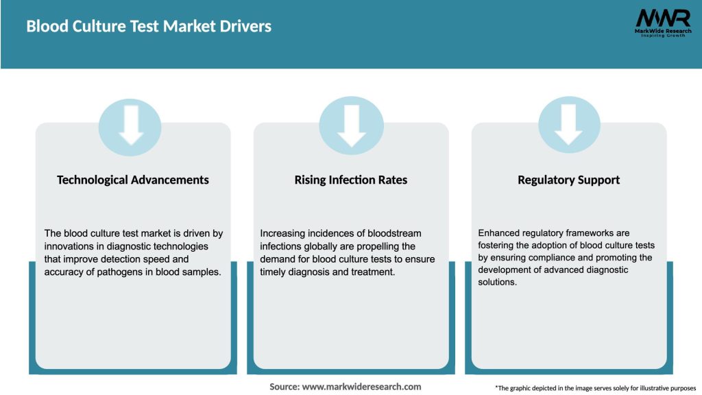 Blood Culture Test Market Drivers